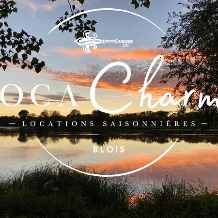 "Gite Le Relais Viennois" Vue Sur Loire & Linge Inclus Blois Luaran gambar